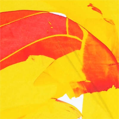 Andreas Korn: Artproduktion (Kunstraum - Acryl im Bonner Atelier) Andreas Korn: Artproduktion (Kunstraum - Acryl im Bonner Atelier)